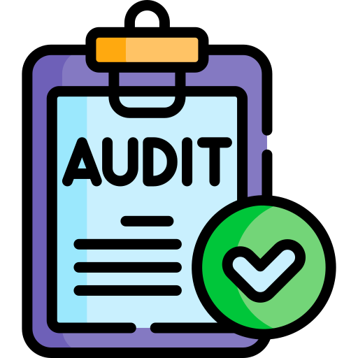 Audit Firms